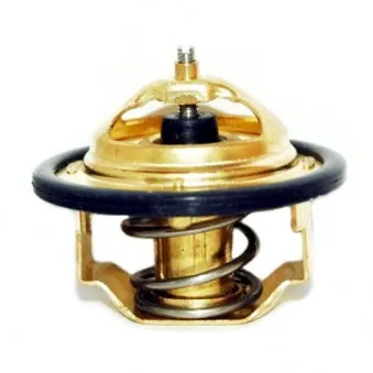 Thermostat, liquide de refroidissement HOFFER