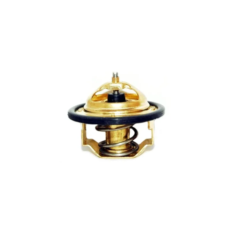 Thermostat, liquide de refroidissement HOFFER 8192182