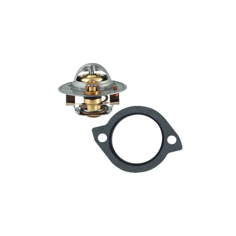 Thermostat, liquide de refroidissement HOFFER 8192188