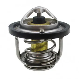 Thermostat, liquide de refroidissement HOFFER