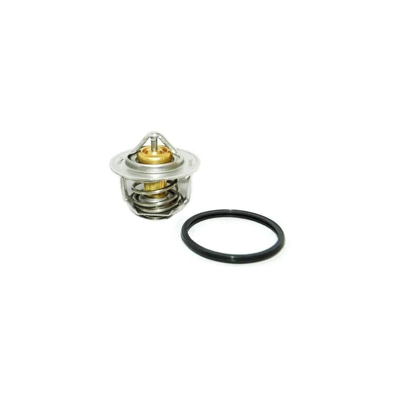 Thermostat, liquide de refroidissement HOFFER 8192211