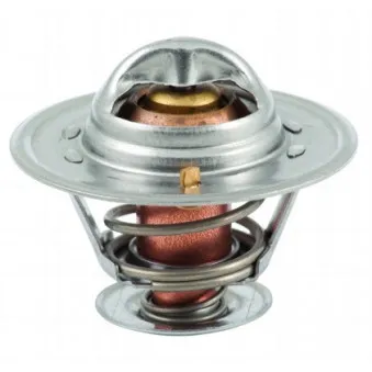 Thermostat, liquide de refroidissement HOFFER