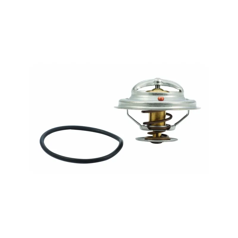 Thermostat, liquide de refroidissement HOFFER 8192217