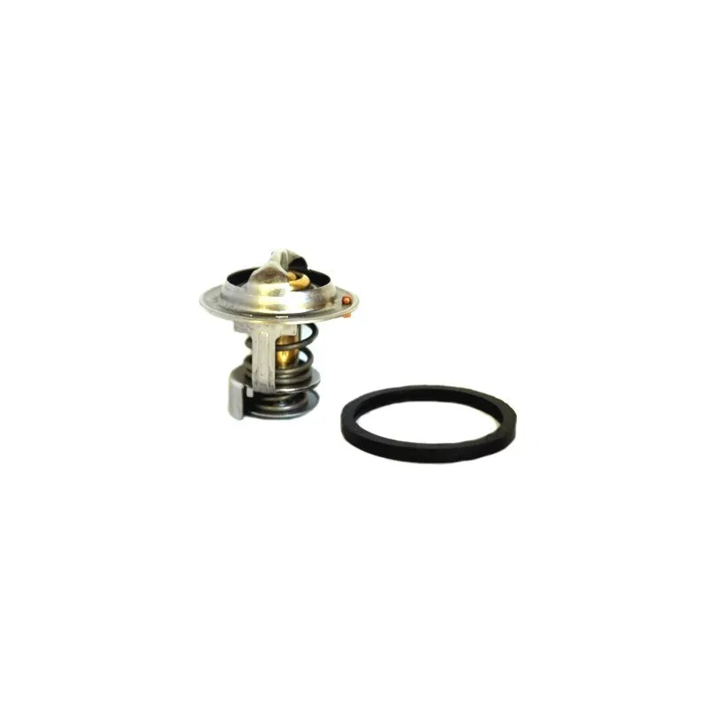 Thermostat, liquide de refroidissement HOFFER 8192236