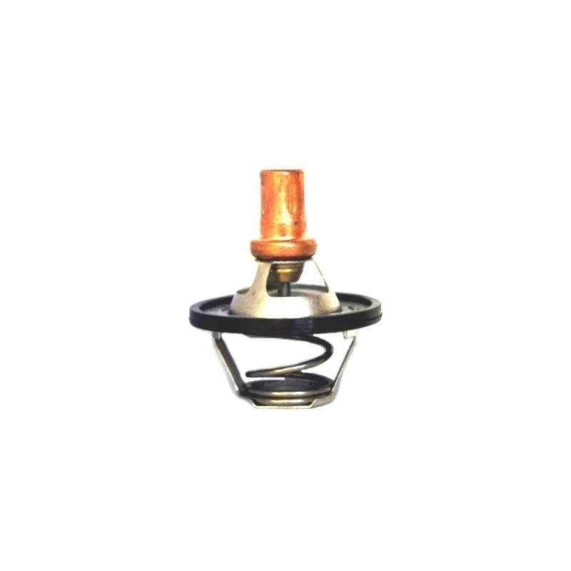 Thermostat, liquide de refroidissement HOFFER 8192247