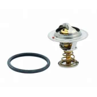Thermostat, liquide de refroidissement HOFFER