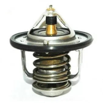 Thermostat, liquide de refroidissement HOFFER