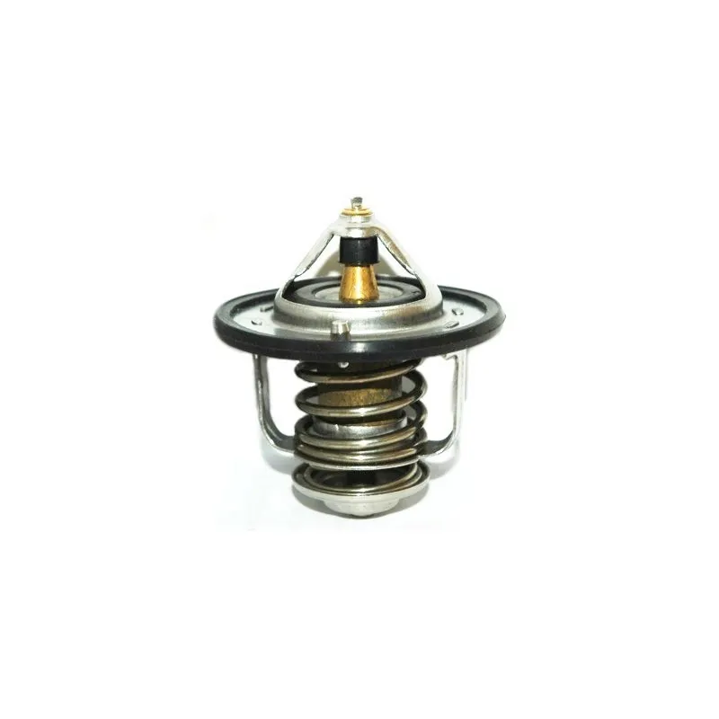Thermostat, liquide de refroidissement HOFFER 8192278