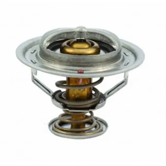 Thermostat, liquide de refroidissement HOFFER 8192287