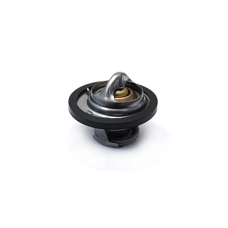 Thermostat, liquide de refroidissement HOFFER 8192290