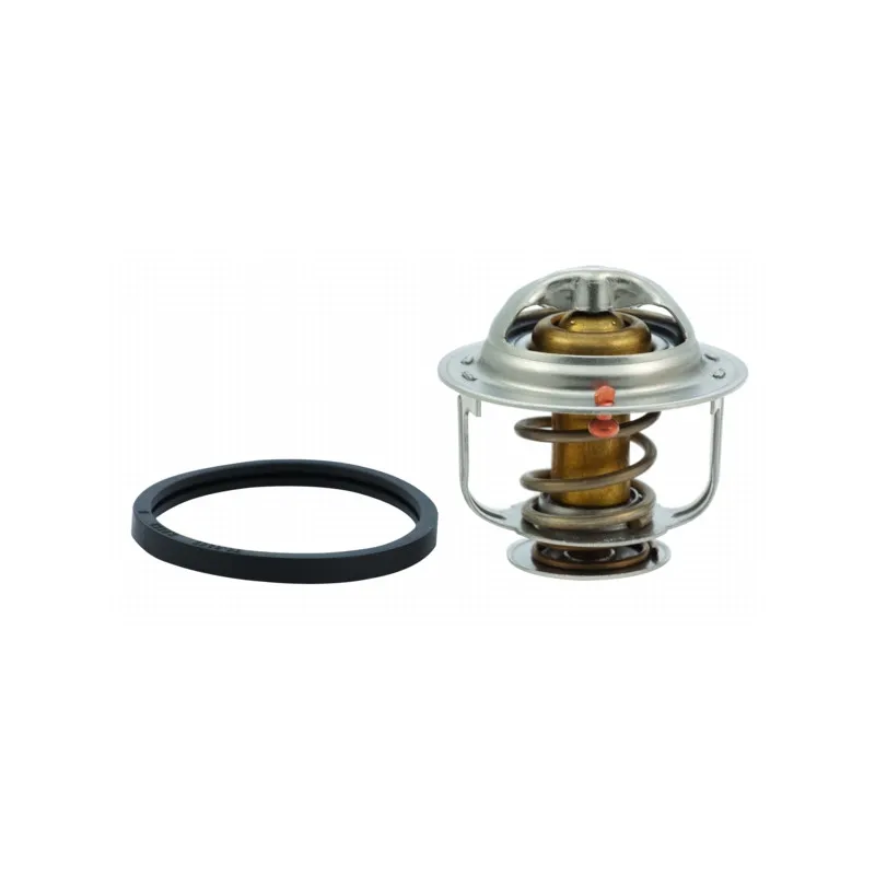 Thermostat, liquide de refroidissement HOFFER 8192296
