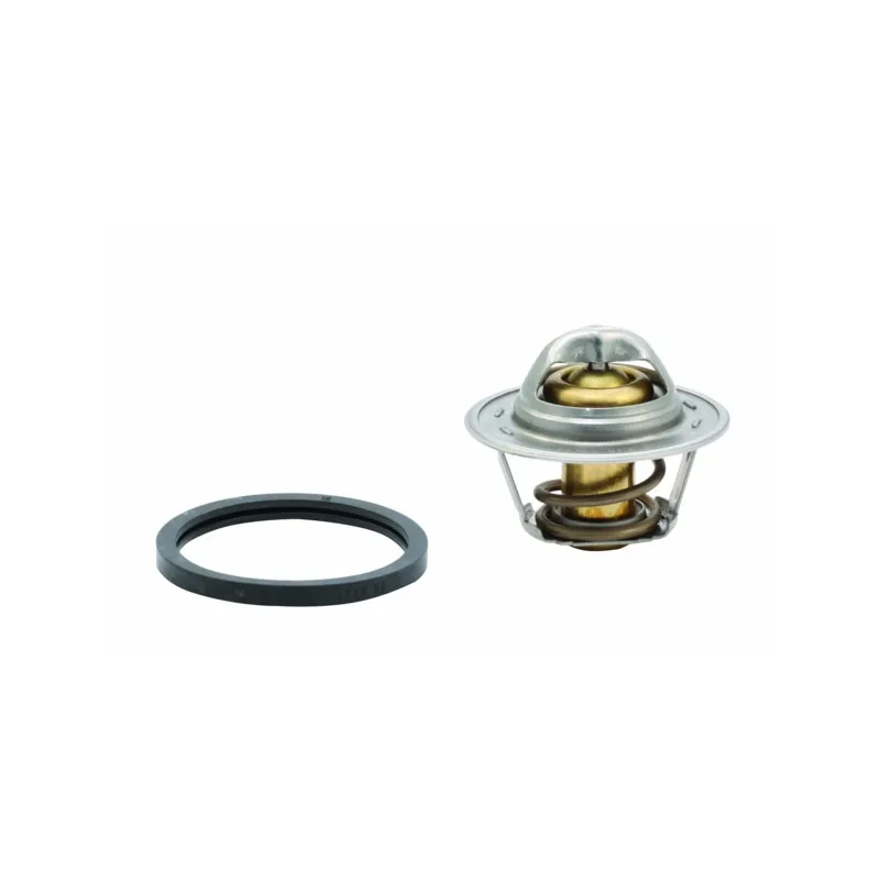 Thermostat, liquide de refroidissement HOFFER 8192297