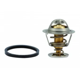 Thermostat, liquide de refroidissement HOFFER