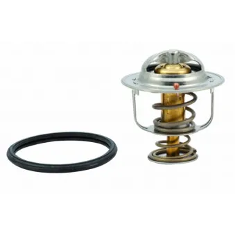 Thermostat, liquide de refroidissement HOFFER