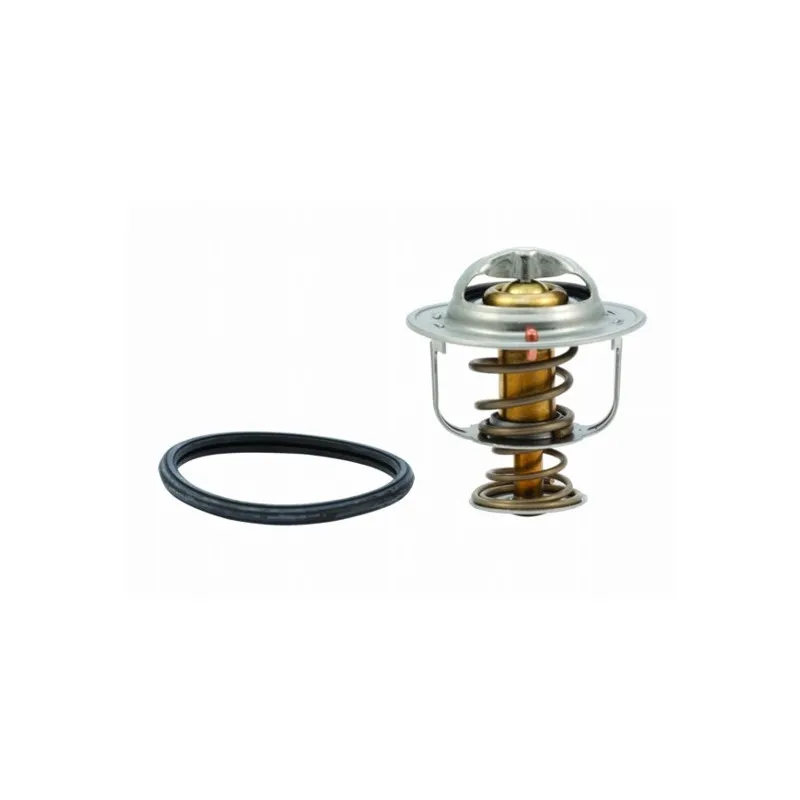 Thermostat, liquide de refroidissement HOFFER 8192334