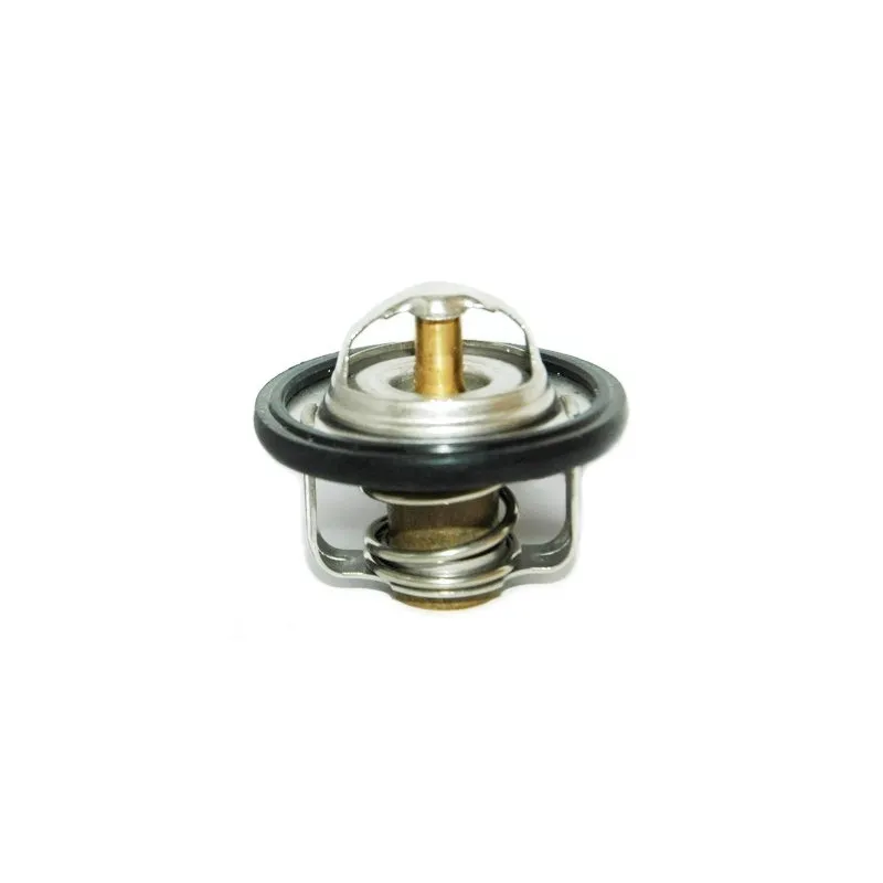 Thermostat, liquide de refroidissement HOFFER 8192335