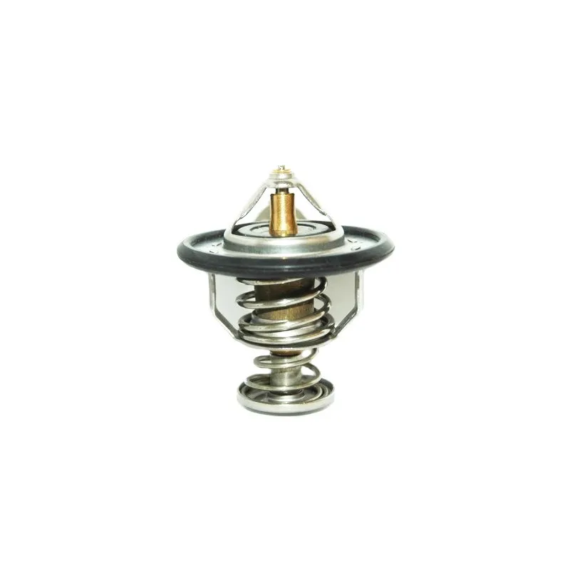 Thermostat, liquide de refroidissement HOFFER 8192339