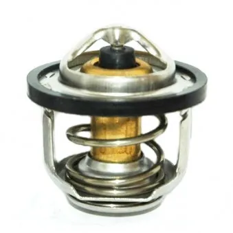 Thermostat, liquide de refroidissement HOFFER
