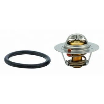 Thermostat, liquide de refroidissement HOFFER