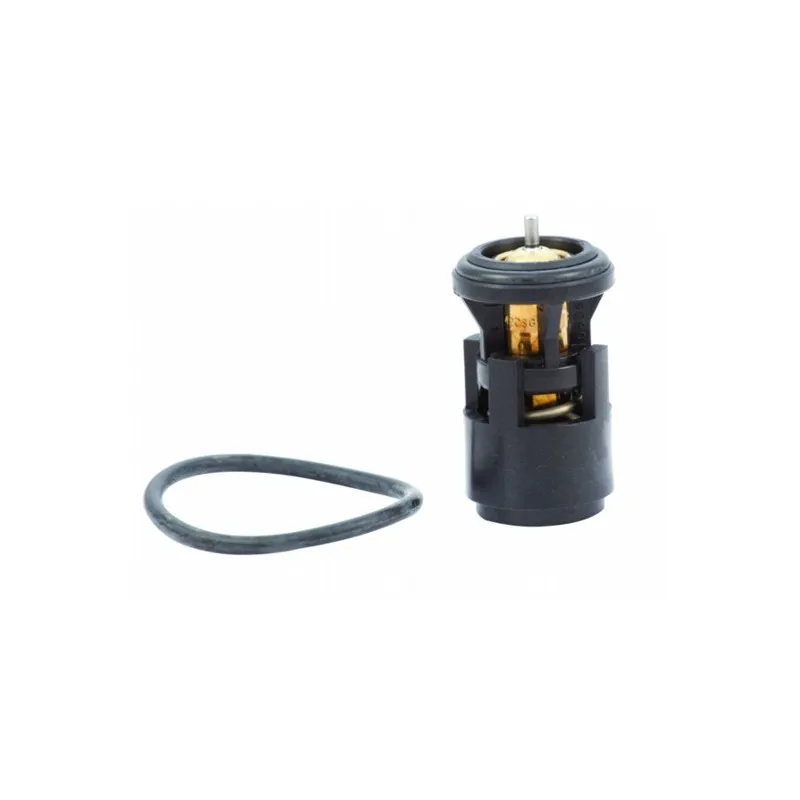 Thermostat, liquide de refroidissement HOFFER 8192345