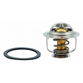 Thermostat, liquide de refroidissement HOFFER