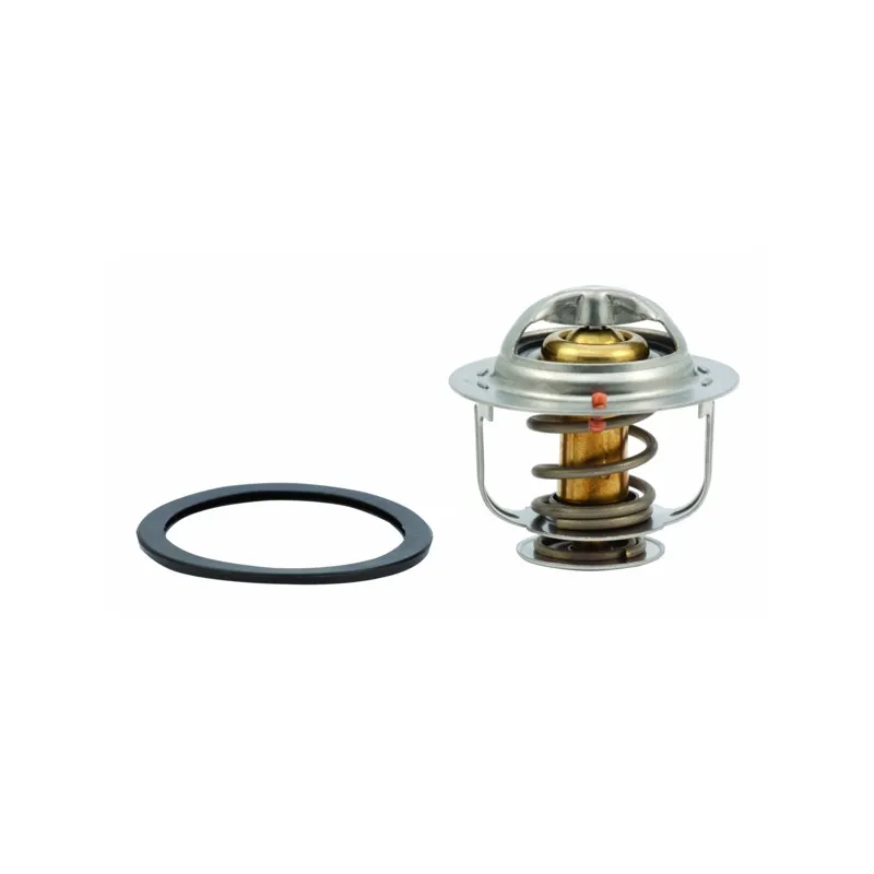 Thermostat, liquide de refroidissement HOFFER 8192365