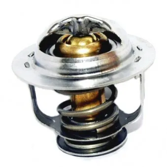 Thermostat, liquide de refroidissement HOFFER