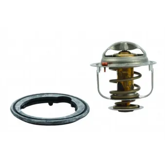Thermostat, liquide de refroidissement HOFFER