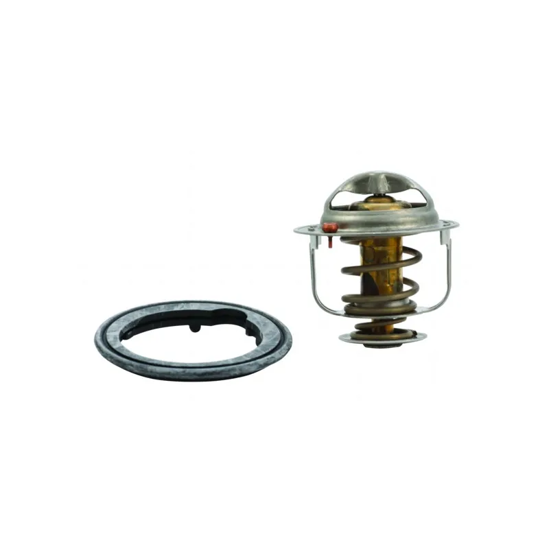 Thermostat, liquide de refroidissement HOFFER 8192410