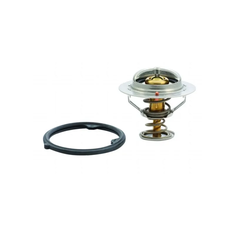 Thermostat, liquide de refroidissement HOFFER 8192412