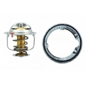 Thermostat, liquide de refroidissement HOFFER
