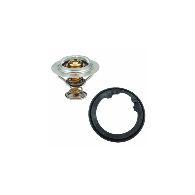 Thermostat, liquide de refroidissement HOFFER 8192417