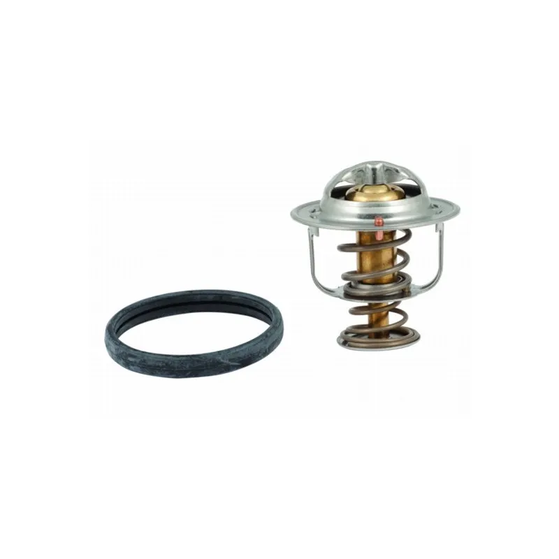 Thermostat, liquide de refroidissement HOFFER 8192438
