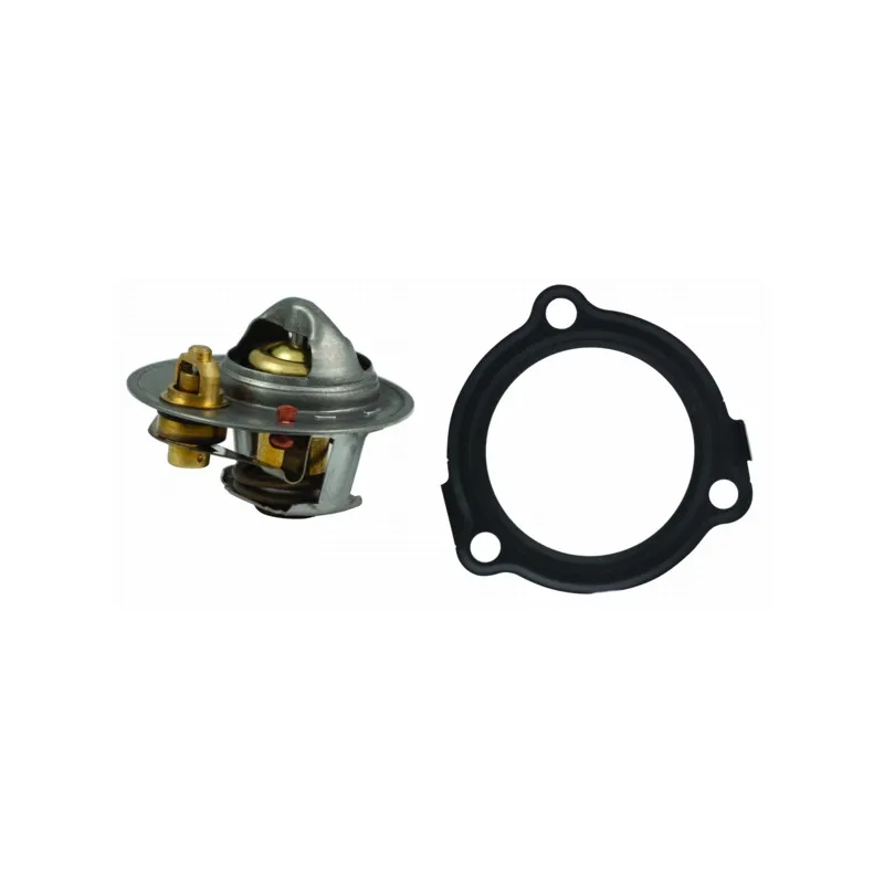 Thermostat, liquide de refroidissement HOFFER 8192459