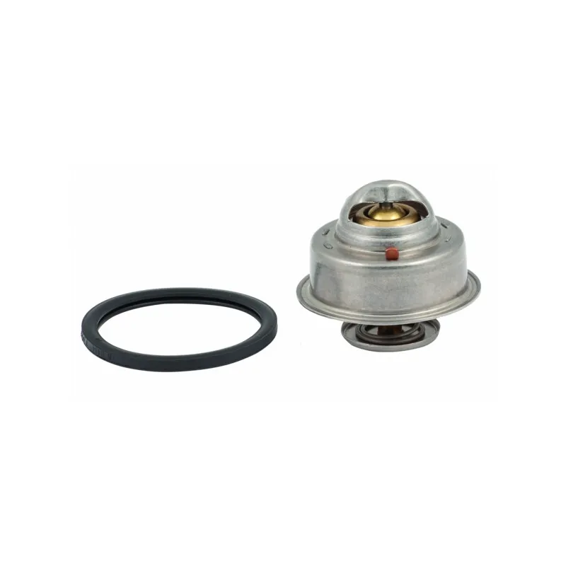 Thermostat, liquide de refroidissement HOFFER 8192464