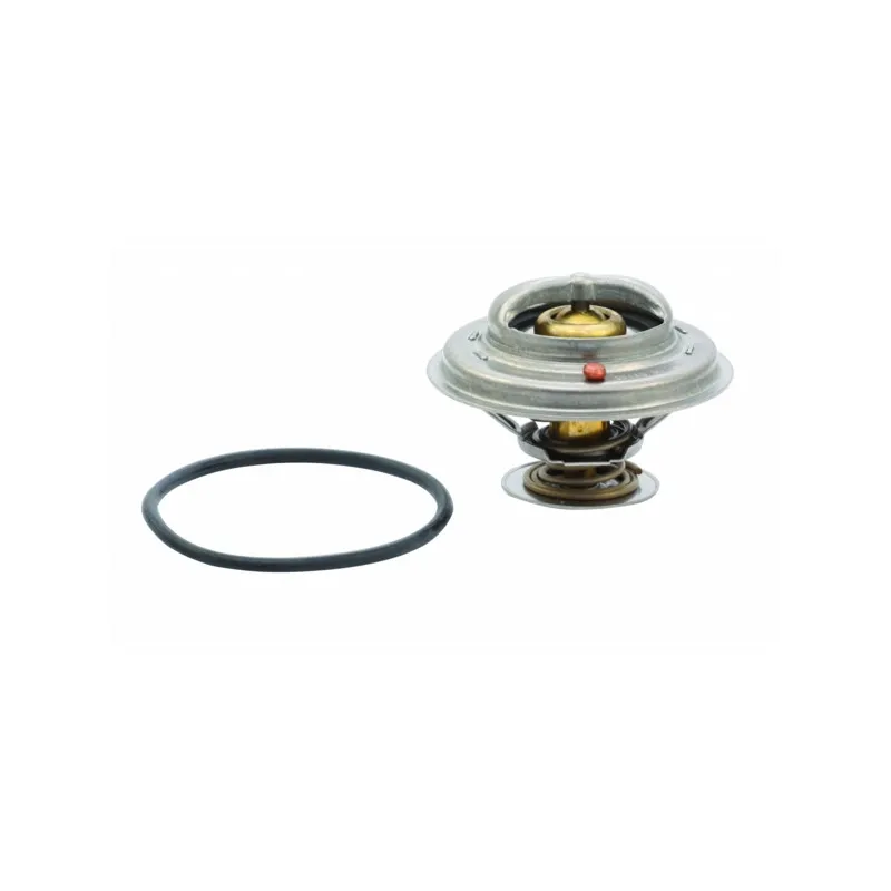Thermostat, liquide de refroidissement HOFFER 8192466