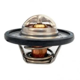 Thermostat, liquide de refroidissement HOFFER 8192471