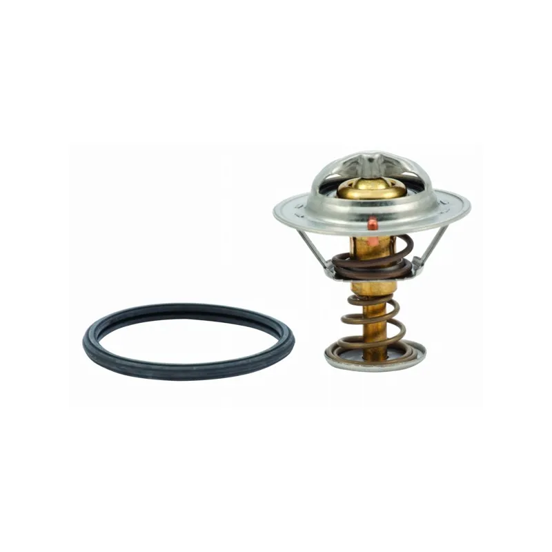 Thermostat, liquide de refroidissement HOFFER 8192477