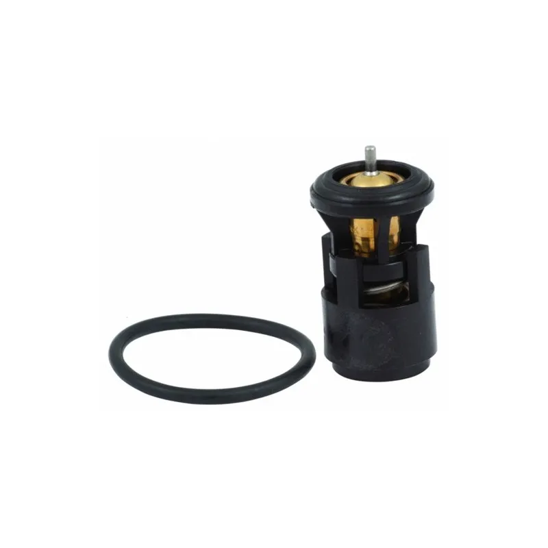 Thermostat, liquide de refroidissement HOFFER 8192479