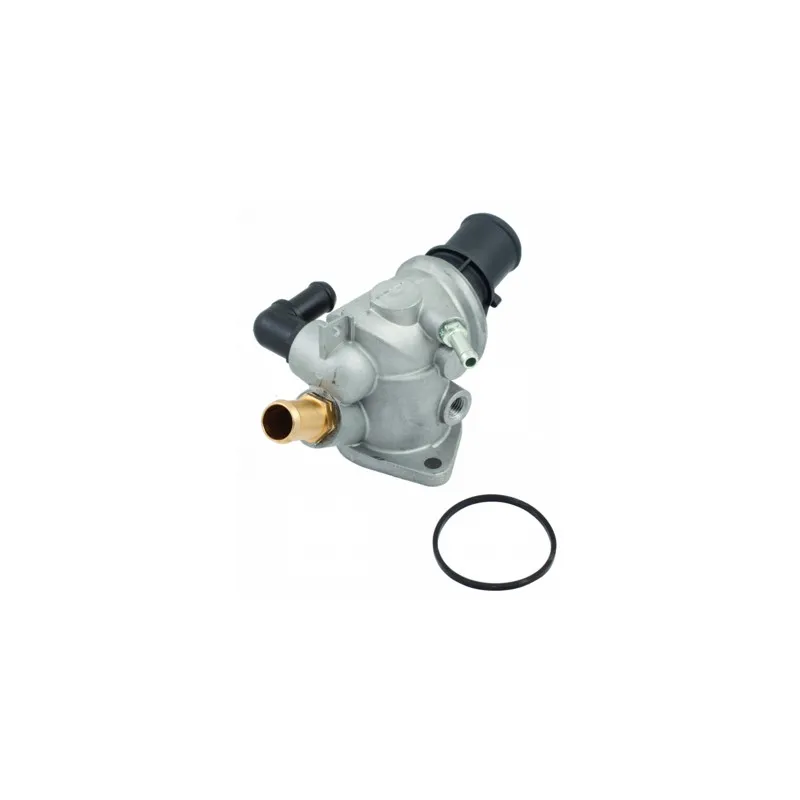 Thermostat, liquide de refroidissement HOFFER 8192482