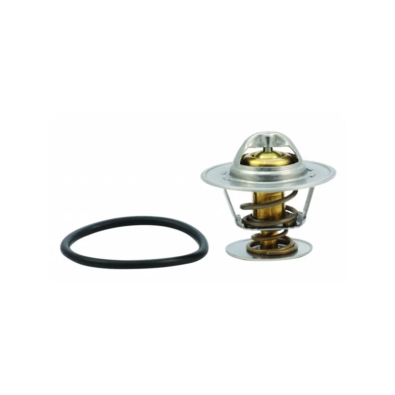 Thermostat, liquide de refroidissement HOFFER 8192505