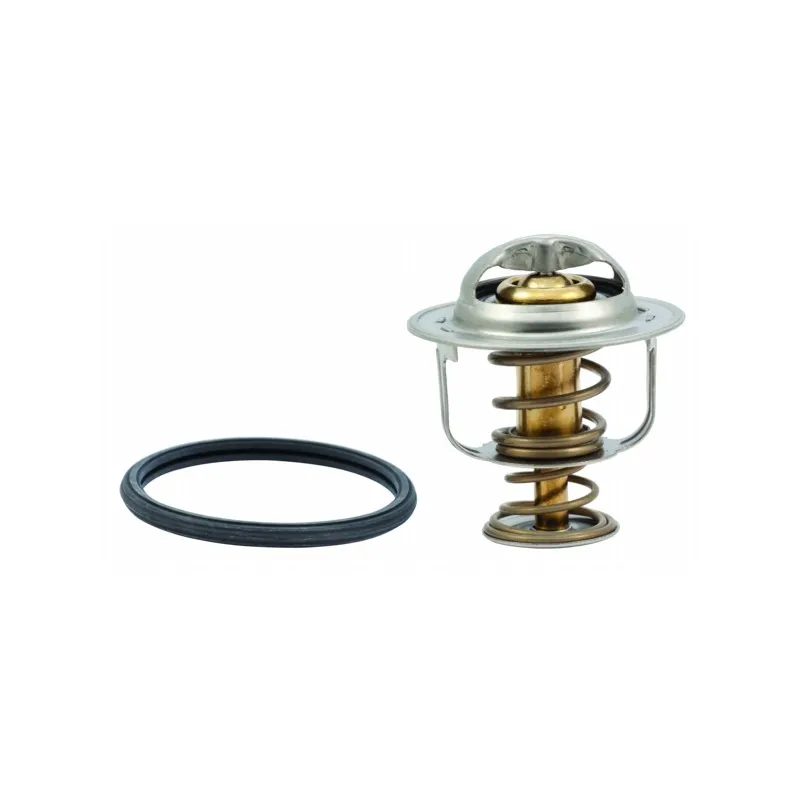 Thermostat, liquide de refroidissement HOFFER 8192520