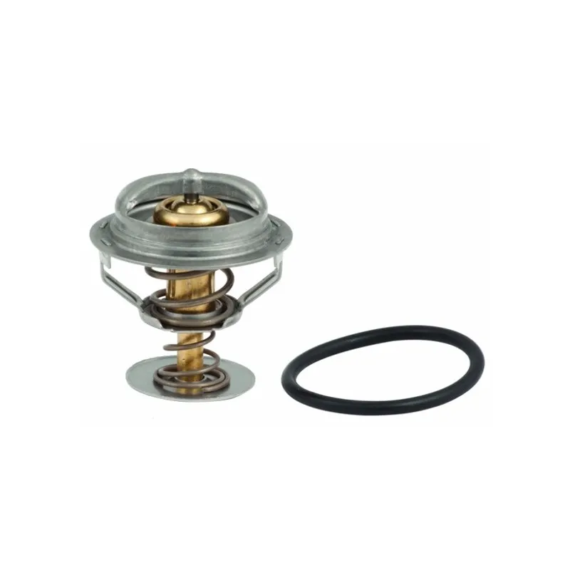 Thermostat, liquide de refroidissement HOFFER 8192521