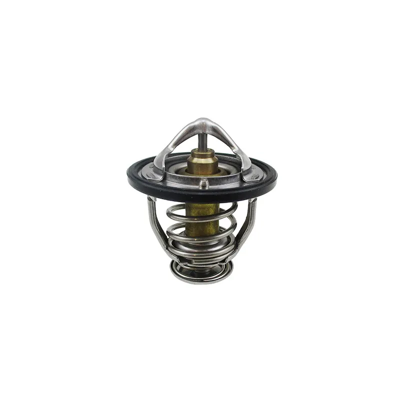 Thermostat, liquide de refroidissement HOFFER 8192530