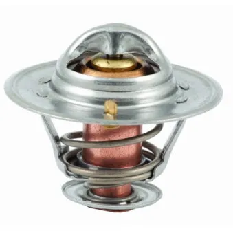 Thermostat, liquide de refroidissement HOFFER