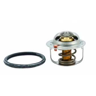 Thermostat, liquide de refroidissement HOFFER