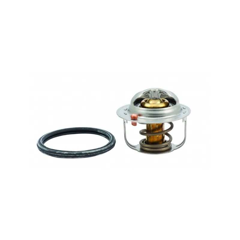 Thermostat, liquide de refroidissement HOFFER 8192546