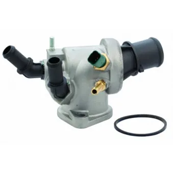Thermostat, liquide de refroidissement HOFFER 8192547