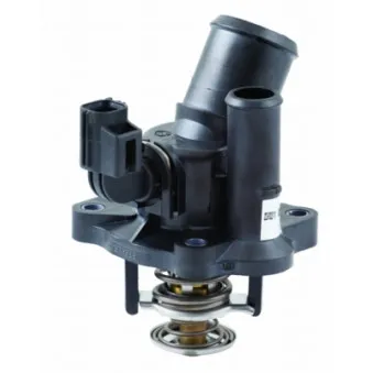 Thermostat, liquide de refroidissement HOFFER