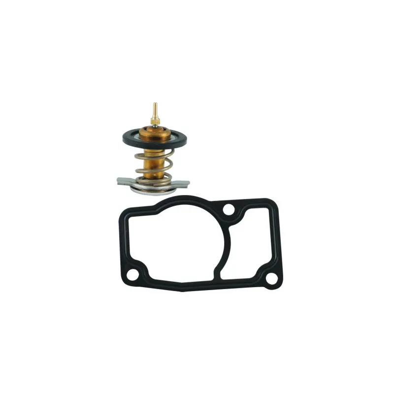 Thermostat, liquide de refroidissement HOFFER 8192600IN